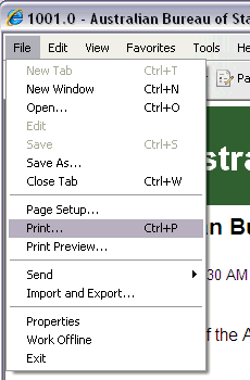 File Menu - Print Option