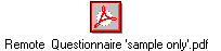 Remote  Questionnaire 'sample only'.pdf