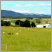 Image: A view from the Top Paddock
