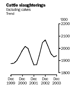 Graph of cattle slaughterings, Dec 1999 to Dec 2003p