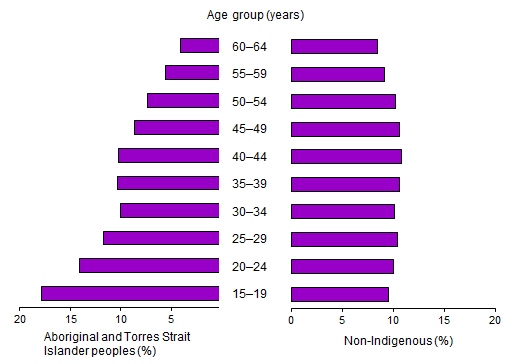 Population pyramid: shows the proportion of the population in five year age groups by Indigenous status. There is a high proportion of  Aboriginal and Torres Strait Islander population in the 15-19 year age group.