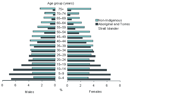 Diagram: Age standardisation of offender rates