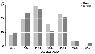 Graph: Age distribution of Medicare arrivals, Adelaide (C), 2006