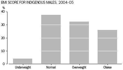 Graph shows the BMI score of Indigenous males aged 15 years and over, for 2004–05