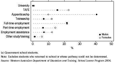 Graph: Pathways of year 10 and 11 students not returning to school, Western Australia—2006
