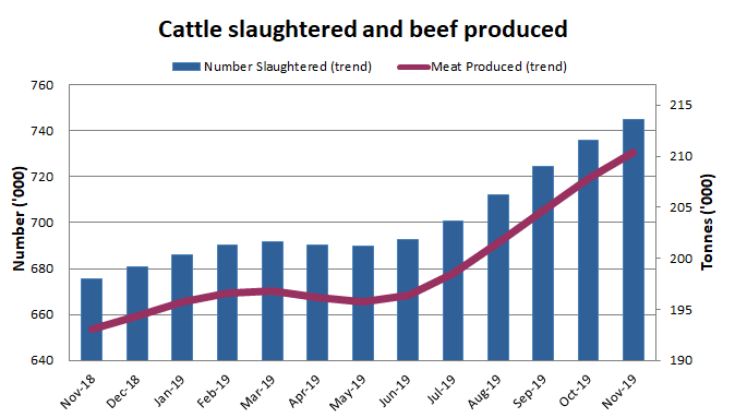Image: Graph showing the number of cattle slaughtered and amount of beef produced in Australia over the past 13 months