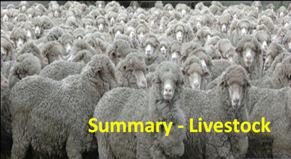 Image: Flock of sheep