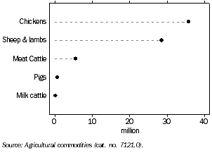 Livestock numbers, New South Wales, at 30 June 2007