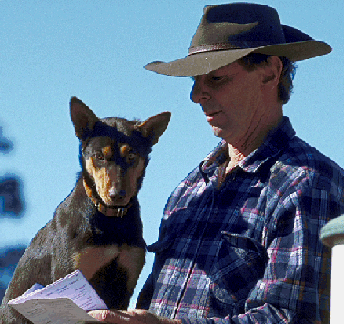 Sheepdog and farmer reading questionnaire