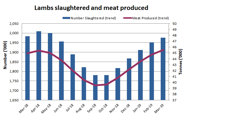 Image: Graph showing numbers of lambs slaughtered and meat produced over last 13 months