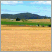 Image: Field 