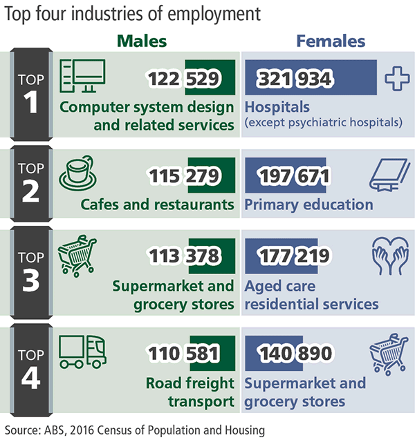 Infographic showing the top four industries of employment for males and females.