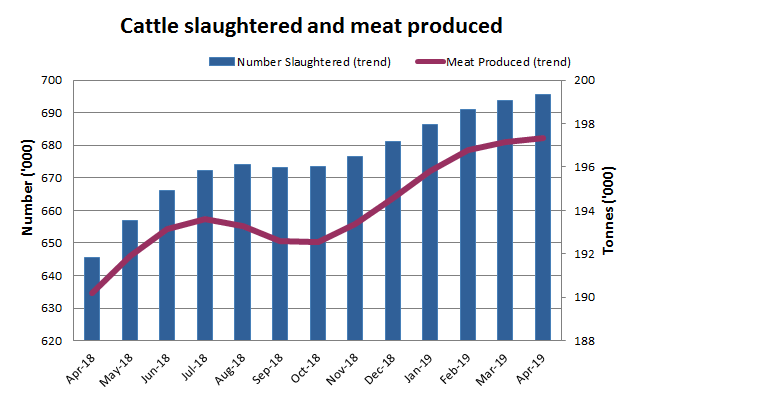 Image: Graph showing number of cattle slaughtered and beef produced over a one year period