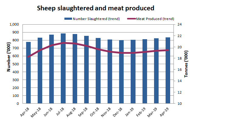 Image: graph showing sheep slaughter and mutton production data for the last 12 months 