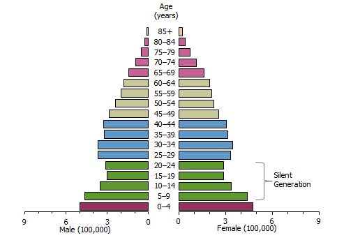 Pyramid graph: Population structure - 1954