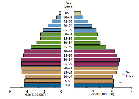 Pyramid graph: Population structure - 1991