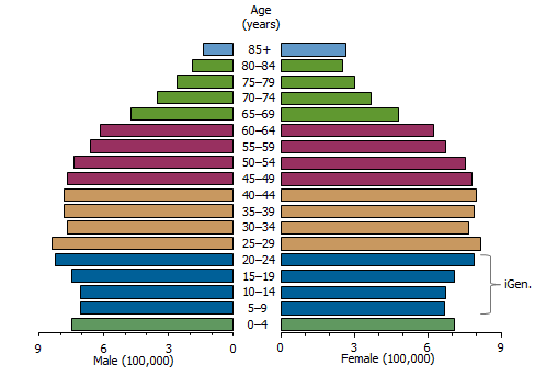 Pyramid graph: Population structure - 2011
