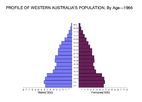 Profile of Western Australia's Population, By age - 1966