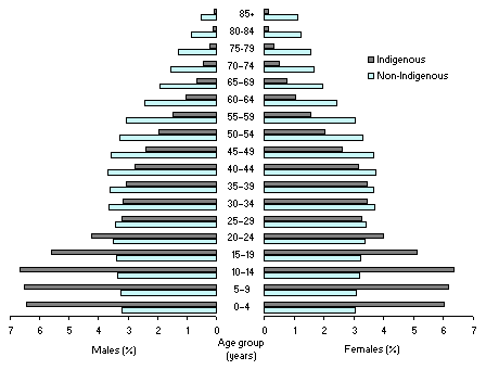 Age and Sex Distribution for Indigenous and Non-Indigenous Persons