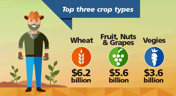 Image: An infographic illustrating the top three Australian crop types. See text below for more information.