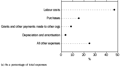 Graph: EXPENSE ITEMS, Not-for-profit organisations, Australia(a)
