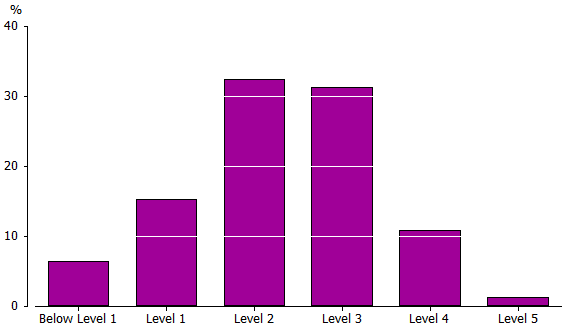 Graph: Proportion at each numeracy level201112