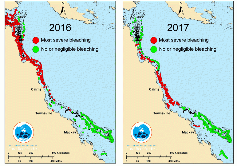 Figure 2. Extent and severity of bleaching effects, 2016 and 2017