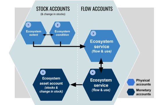 Diagram of physical and monetary accounts and how they interact