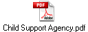 Child Support Agency.pdf
