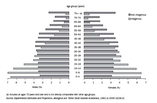 5.20 AGE DISTRIBUTION OF THE INDIGENOUS AND NON-INDIGENOUS POPULATION - June 2001