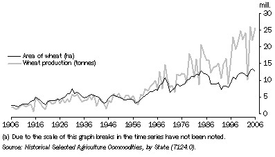 Graph: 16.12 Wheat production(a)—1906 to 2006