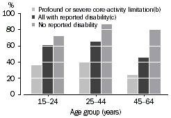 Graph: Labour force participation rate (a) by age Group - 2003