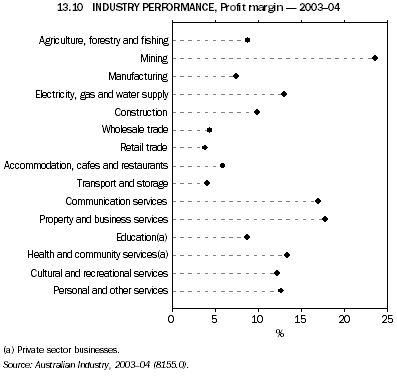 13.10 INDUSTRY PERFORMANCE, Profit margin - 2003-04