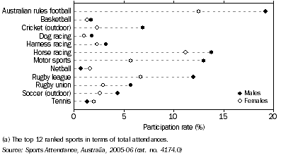 Graph: Persons attending main sports(a), By sex