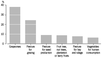 Graph 5: Area irrigated by crop in South Australia, as a proportion of total area - 2005-06