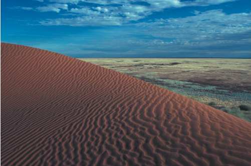 S11 Spinifex and dunes, near Lake Amadeus, central Australia. Photograph by Mike Gillam.