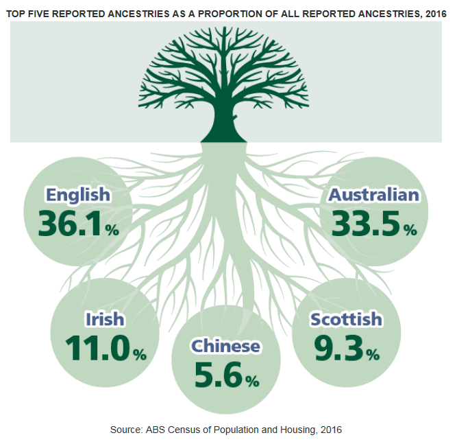 Family tree infographic representing the top 5 listed ancestries. English 36.1%, Australian 33.5%, Irish 11.0%, Scottish 9.3% and Chinese 5.6%.