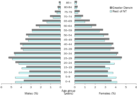 Diagram: AGE AND SEX DISTRIBUTION (%), Northern Territory—30 June 2013