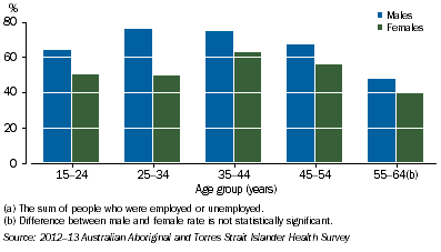 Graph: Labour Force Participation Rates by Age