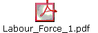 Labour_Force_1.pdf