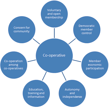 Co-operative principles