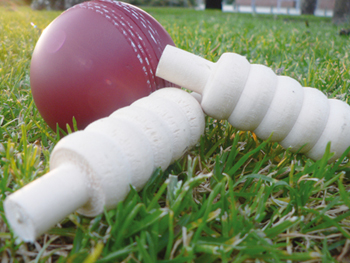 Cricket Ball