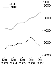 Graph: Sheep and lamb slaughterings Trend