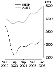 Graph: Sheep and lamb slaughterings Trend