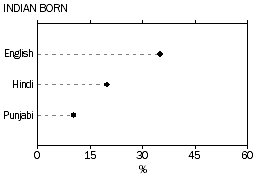 Dot graph showing the proportions of Indian born people who mainly speak English, Hindi, or Punjabi at home