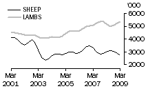 Graph: Sheep and Lambs