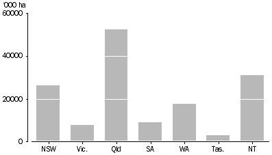 Graph: Area of native forest by state, 2006