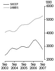 Graph: Sheep and lamb slaughterings Trend