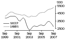 Graph: Sheep and Lambs