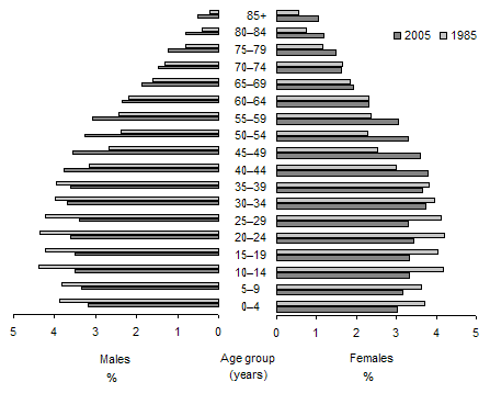 Diagram: Population, Age and sex—1985 and 2005p